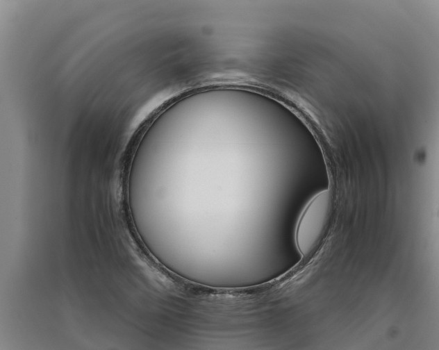 X0000091521458200708171000