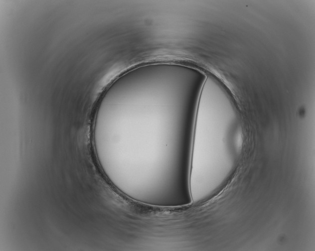 X0000091521459200708171000