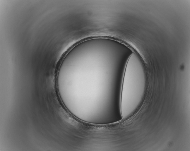 X0000091521460200708171000