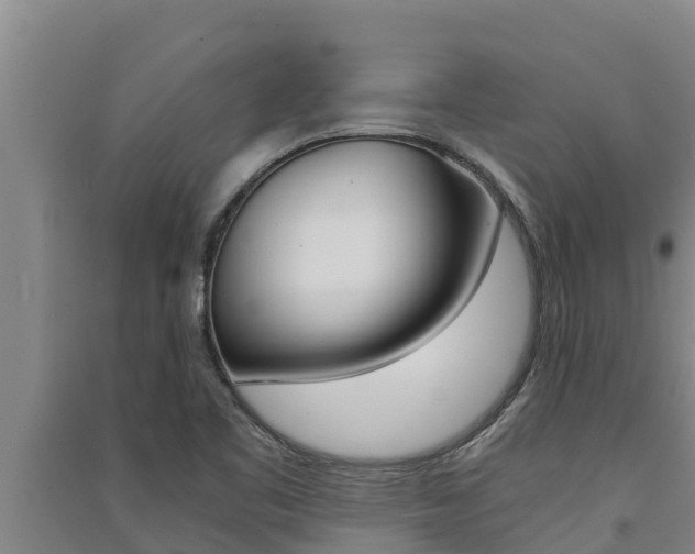 X0000091521461200708171000