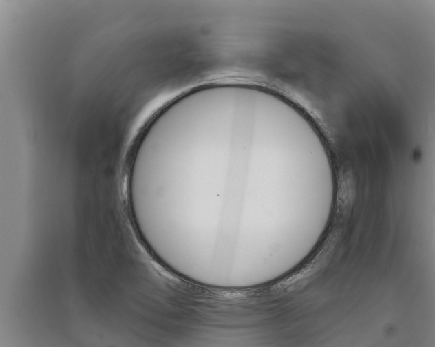 X0000091521462200708171000