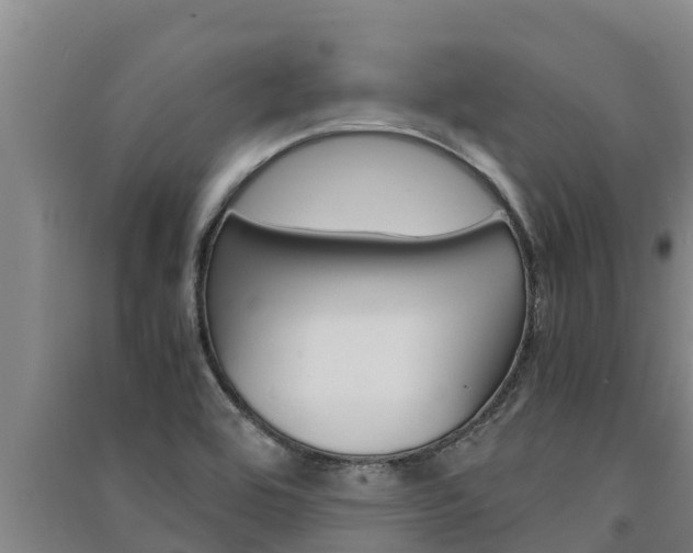 X0000091521464200708171000