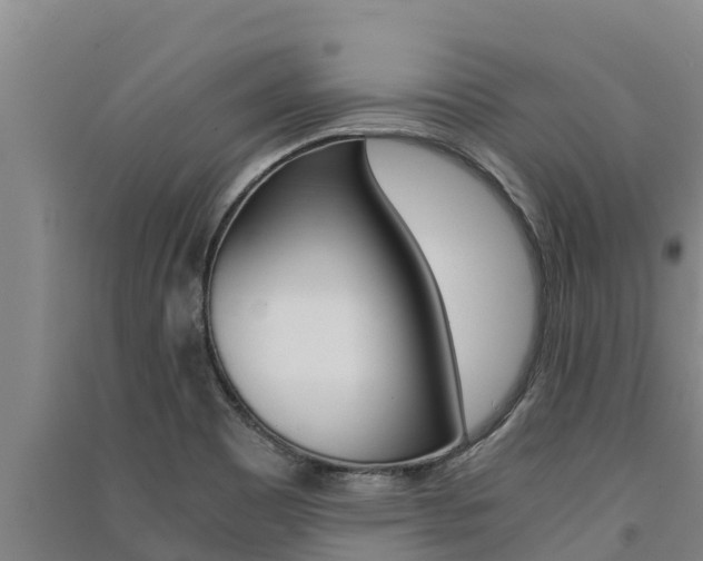 X0000091521465200708171000