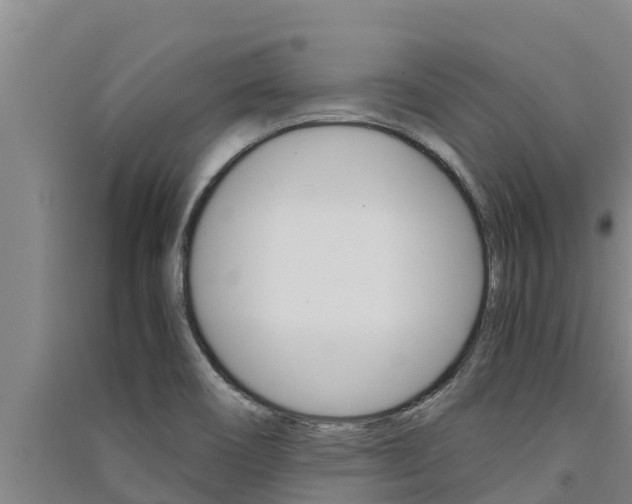 X0000091521466200708171000