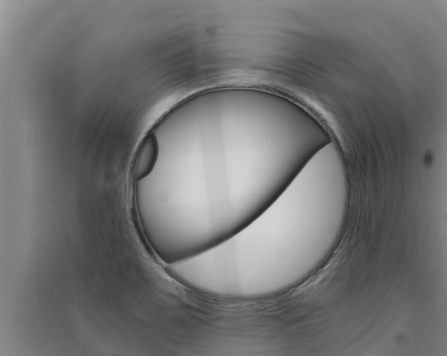 X0000091521467200708171000