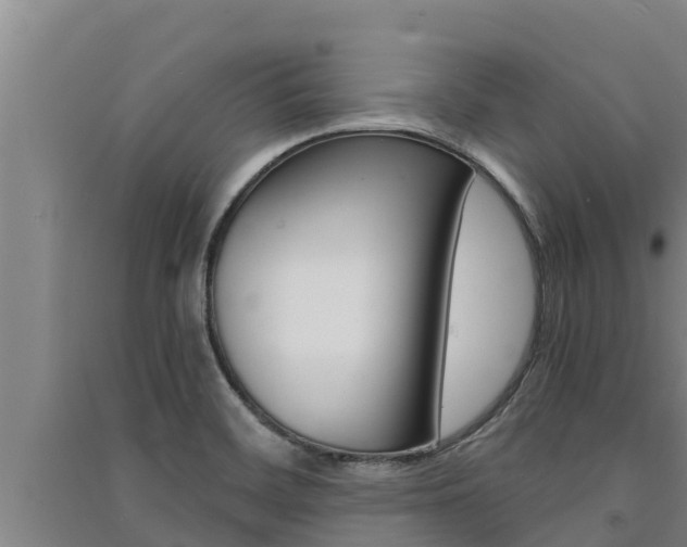 X0000091521468200708171000