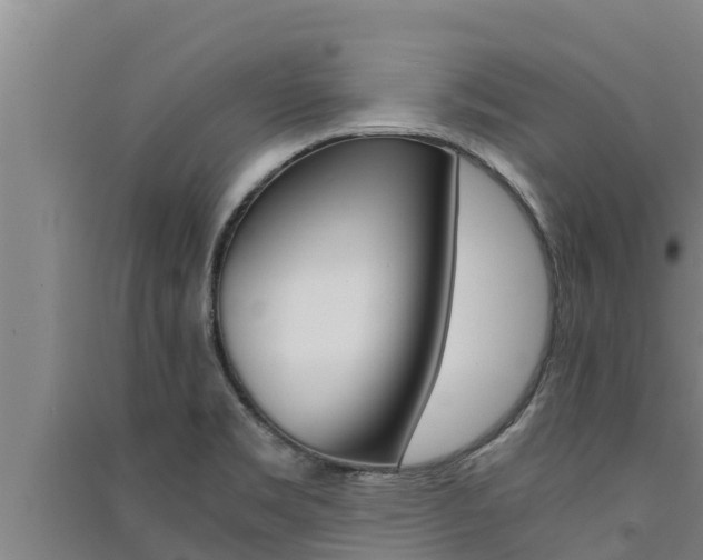 X0000091521469200708171000