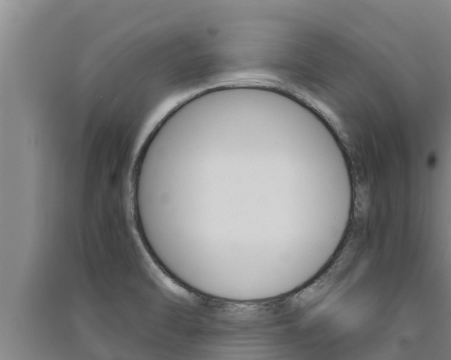 X0000091521470200708171000
