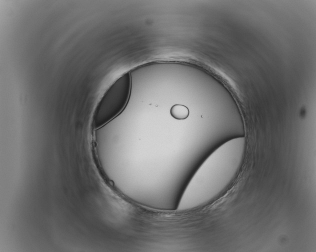 X0000091521471200708171000