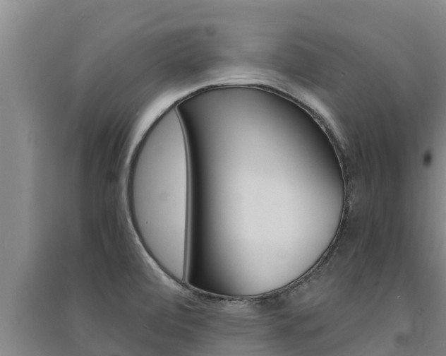 X0000091521472200708171000