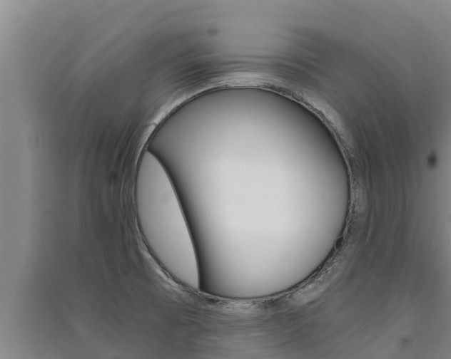 X0000091521473200708171000