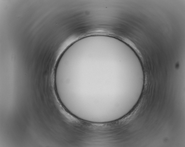X0000091521474200708171000