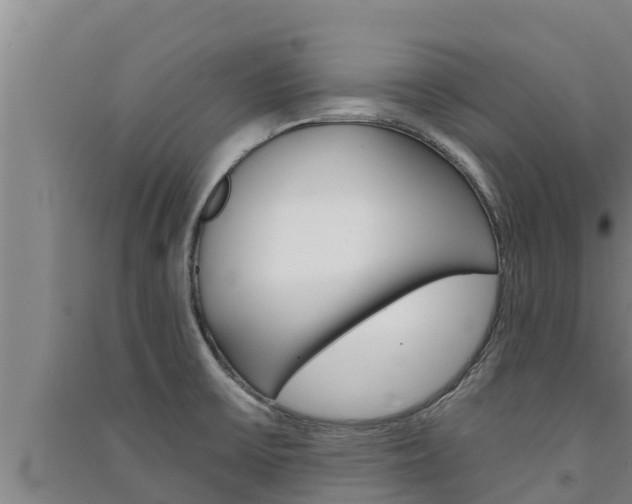 X0000091521475200708170959