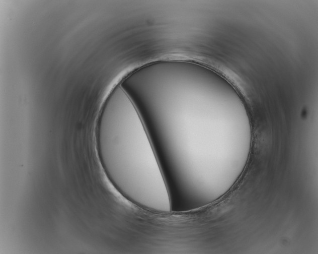 X0000091521476200708170959