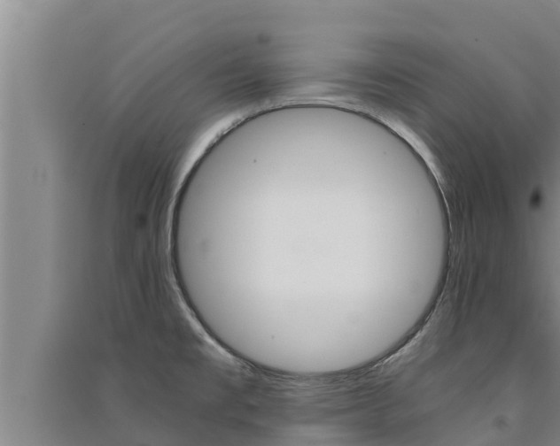 X0000091521477200708170959