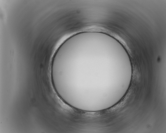 X0000091521478200708170959
