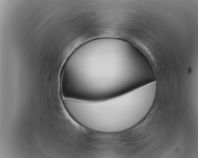 X0000091521479200708170959