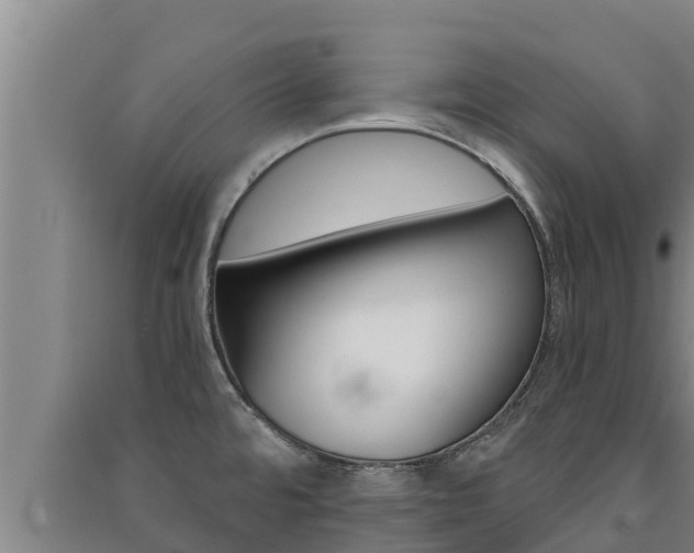 X0000091521480200708170959