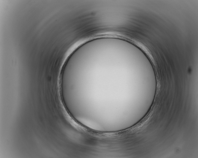 X0000091521482200708170959