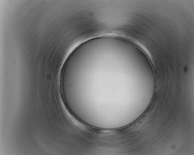 X0000091521483200708170959