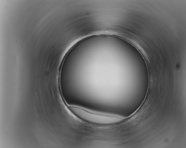X0000091521484200708170959