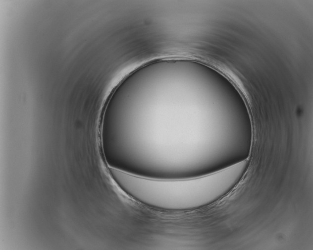 X0000091521485200708170959