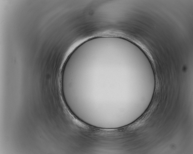 X0000091521486200708170959