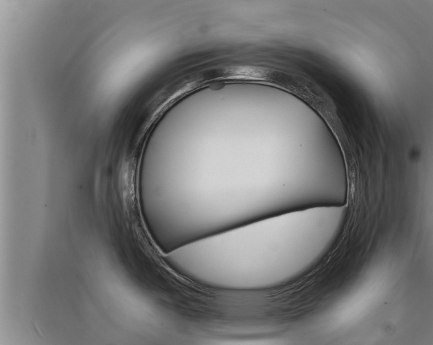 X0000091521487200708170959