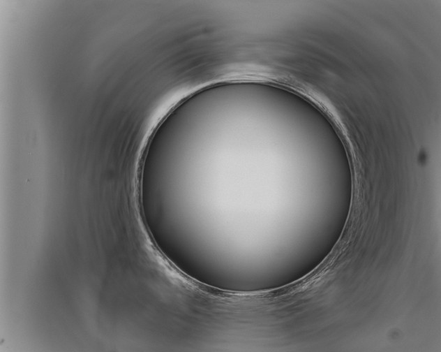 X0000091521488200708170959