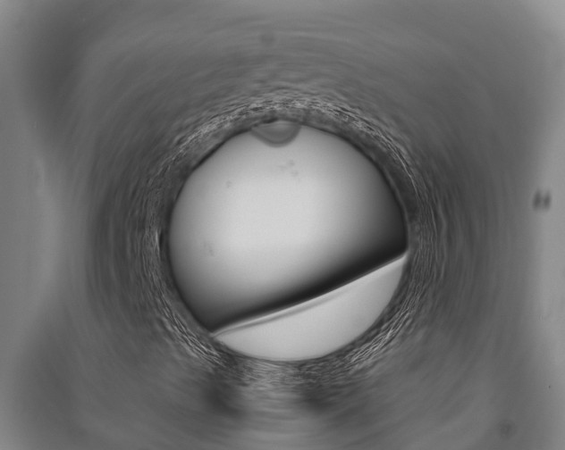 X0000091521489200708170959