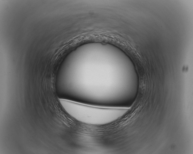 X0000091521490200708170959