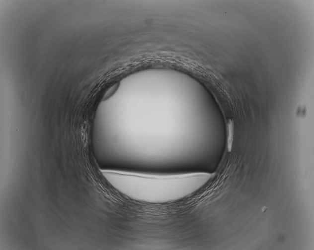 X0000091521491200708170959