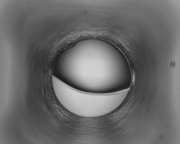 X0000091521492200708170959