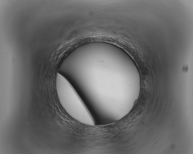 X0000091521493200708170959