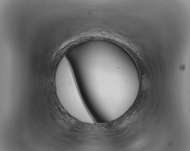X0000091521494200708170959
