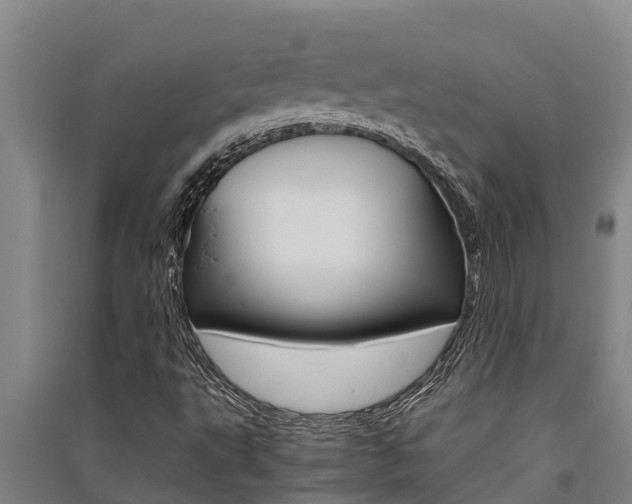 X0000091521495200708170959
