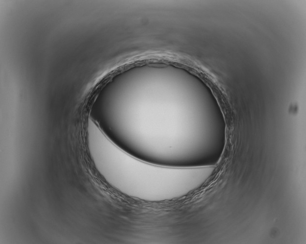 X0000091521496200708170959