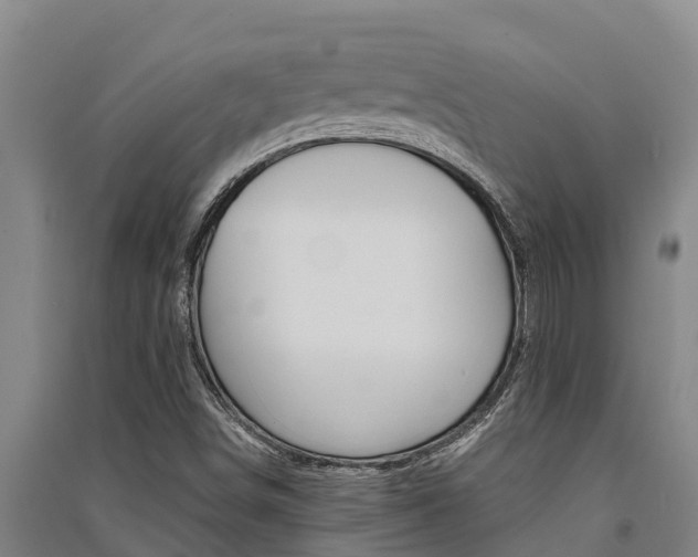 X0000091521498200708170959