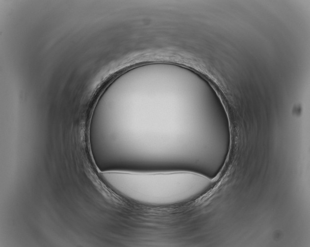 X0000091521499200708170959