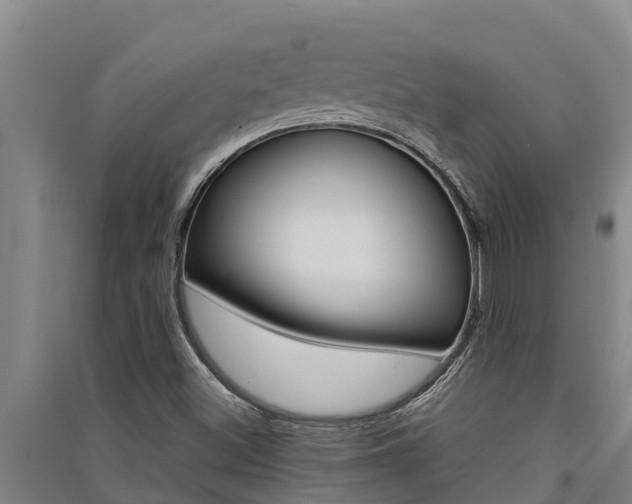 X0000091521500200708170959