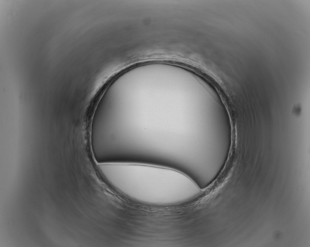 X0000091521501200708170959