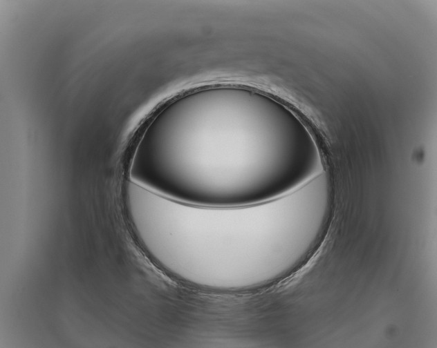 X0000091521502200708170959