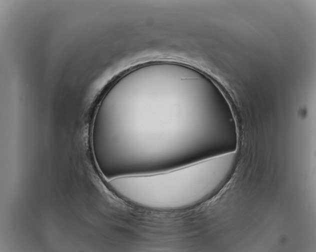 X0000091521503200708170959