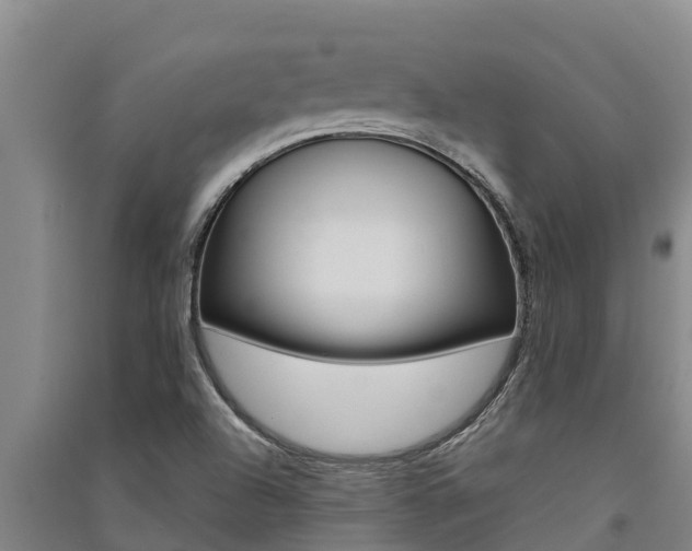 X0000091521504200708170959