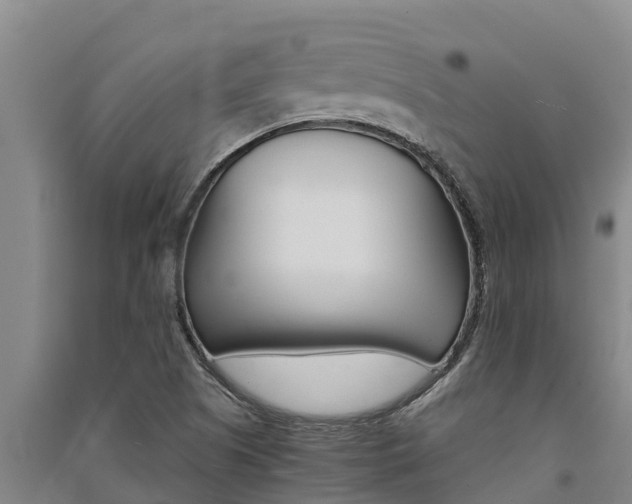 X0000091521505200708170959