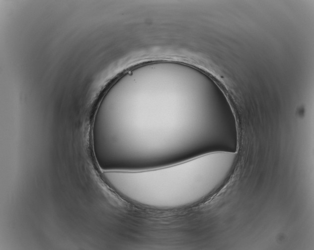 X0000091521507200708170959