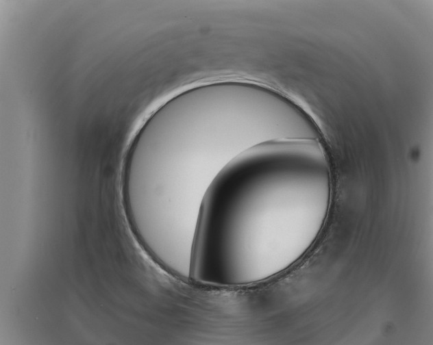 X0000091521508200708170959