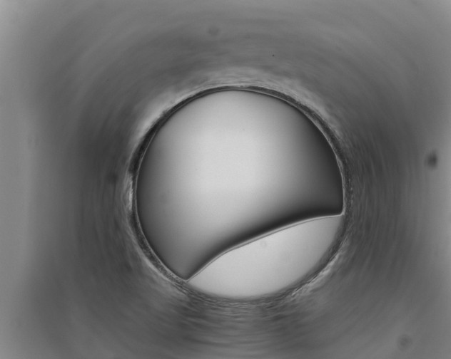 X0000091521509200708170959