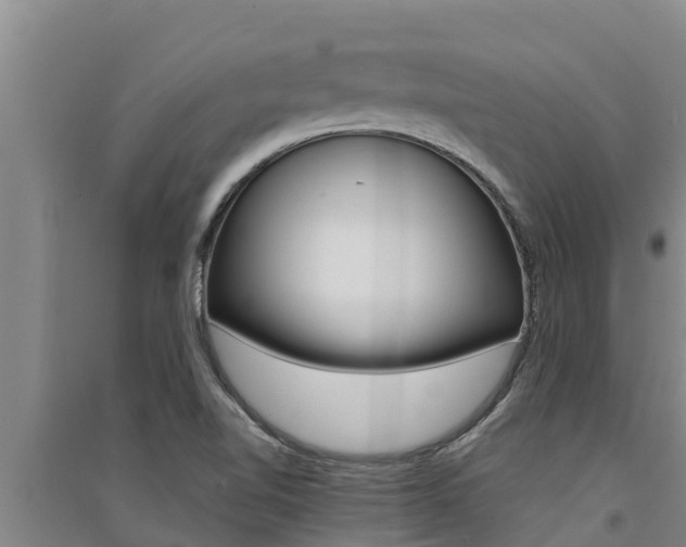 X0000091521510200708170959