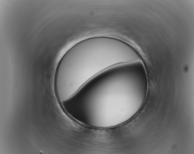 X0000091521512200708170959